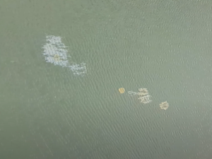 [Vídeo] Imagens capturadas por drone mostram supostas manchas de óleo na Lagoa Mundaú