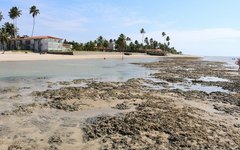 Praia de Peroba encanta turistas e moradores de Maragogi