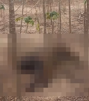 Corpo em decomposição é encontrado em Delmiro Gouveia