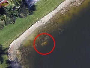Homem morto há 22 anos é encontrado com ajuda do Google Earth