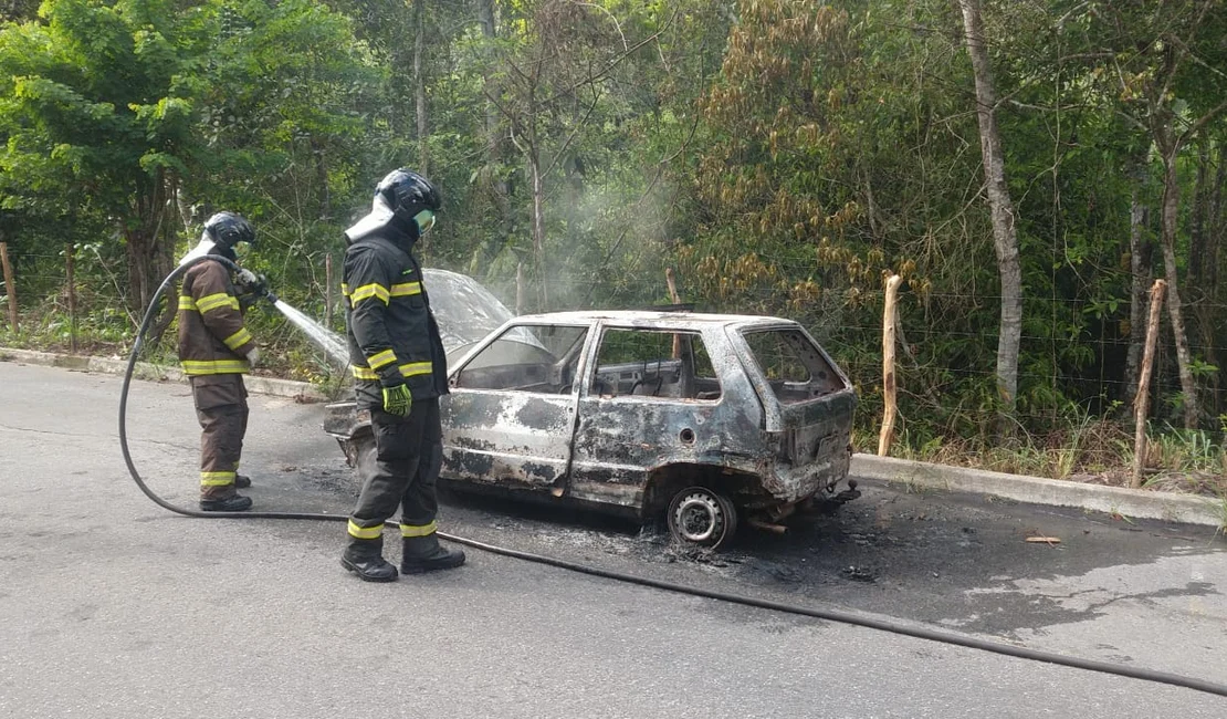 Carro fica totalmente destruído após pegar fogo na BR-104, em Messias