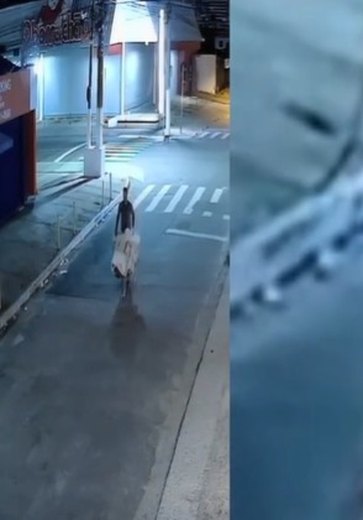 Suspeito de matar jovem trans e carregar corpo em carrinho de mão é preso em Maceió