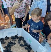 Filhotes de tartarugas marinhas são soltos na praia de Guaxuma e encantam crianças