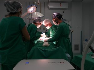 Hospital Geral do Estado é referência no atendimento às vítimas de apendicite