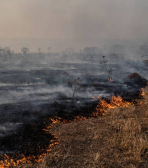 [Vídeo]  Apesar do aumento da temperatura, ação humana ainda é principal causa de incêndios em vegetação