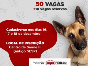 Prefeitura de Penedo promove castração gratuita de cães e gatos