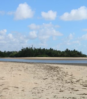 Camacho: a praia da privacidade de Maragogi