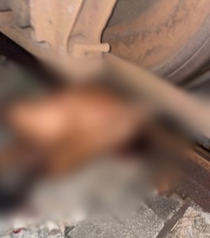 [Vídeo] Homem morre após ser atingido por trem em Rio Largo; circunstâncias ainda são investigadas