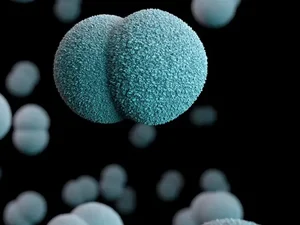 Santa Luzia do Norte registra caso de meningite; contatos próximos são monitorados