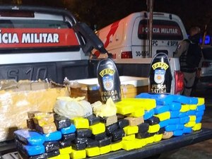 Polícia apreende mais de 46 quilos de maconha em transportadora