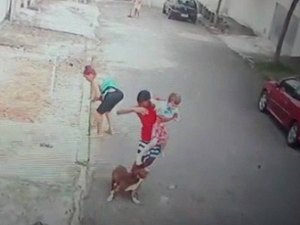 Vídeo: Jovem salva criança de ataque de pitbull no Rio de Janeiro