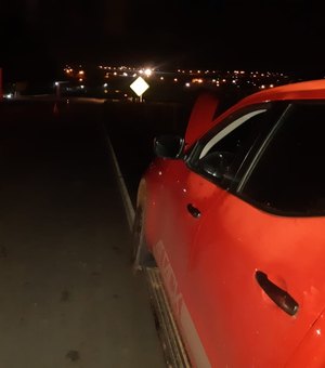 Veículo Nissan atinge cavalo solto na rodovia AL 115 em Arapiraca