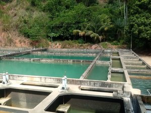 Casal faz manutenção preventiva na ETA Cardoso nesta terça (30)