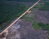 Alertas de desmatamento caem 35% na Amazônia e 6% no Cerrado