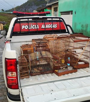 Homem é autuado com onze aves silvestres mantidas em cativeiro em Joaquim Gomes