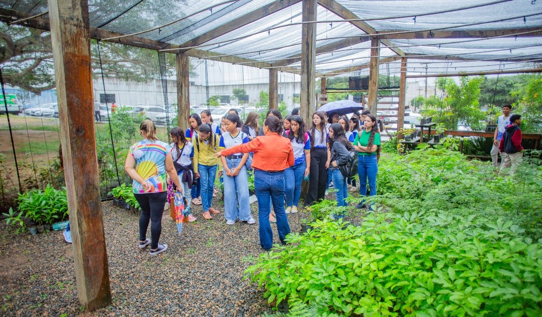 Estudantes da Escola Domingos Lopes visitam o Viveiro Municipal de Arapiraca