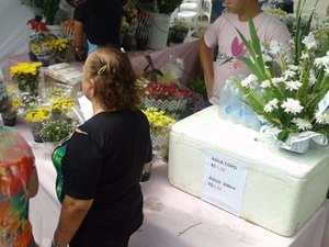 Abertas as vagas para ambulantes participarem de Feira Literária em Arapiraca
