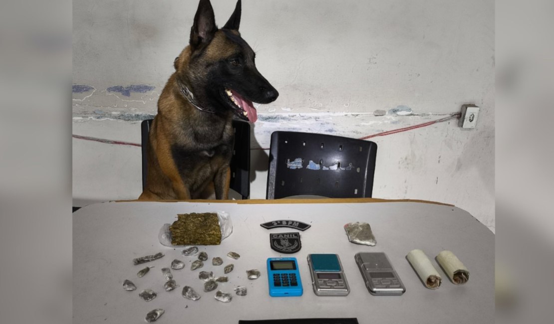 Operação contra o crime organizado em Arapiraca prende suspeitos e apreende drogas e arma