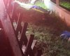 Adolescente morre ao ser arremesado de carro de boi atingido por veículo de passeio em rodovia no Sertão