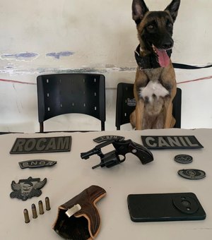 Duas armas de fogo são apreendidas após ocorrências em Arapiraca