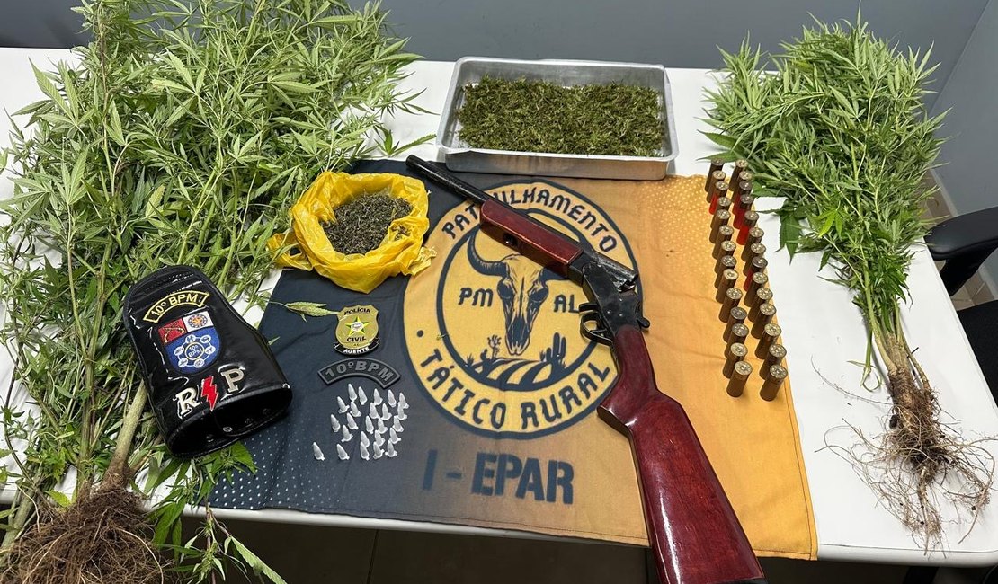 Ação policial flagra pequena plantação de maconha no município de Igaci