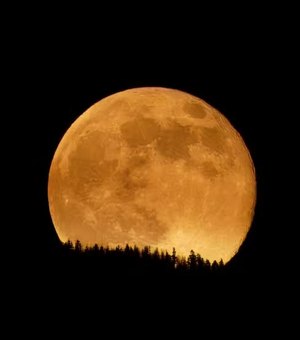 Última superlua de 2025 tem ápice hoje; saiba qual é o melhor horário para apreciar