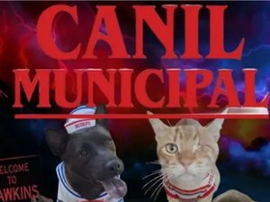 Canil aposta em Stranger Things para nomear animais e promover adoção