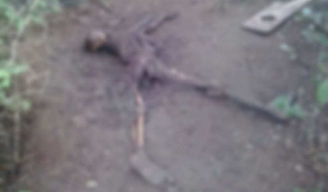 Cadáver em decomposição é encontrado em Palmeira dos Índios