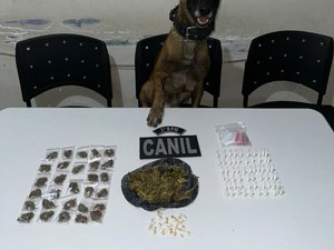 Cão farejador encontra drogas escondidas em tubulação e área de mata em Arapiraca