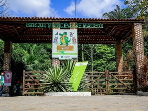 Parque Municipal suspende visitação durante as chuvas