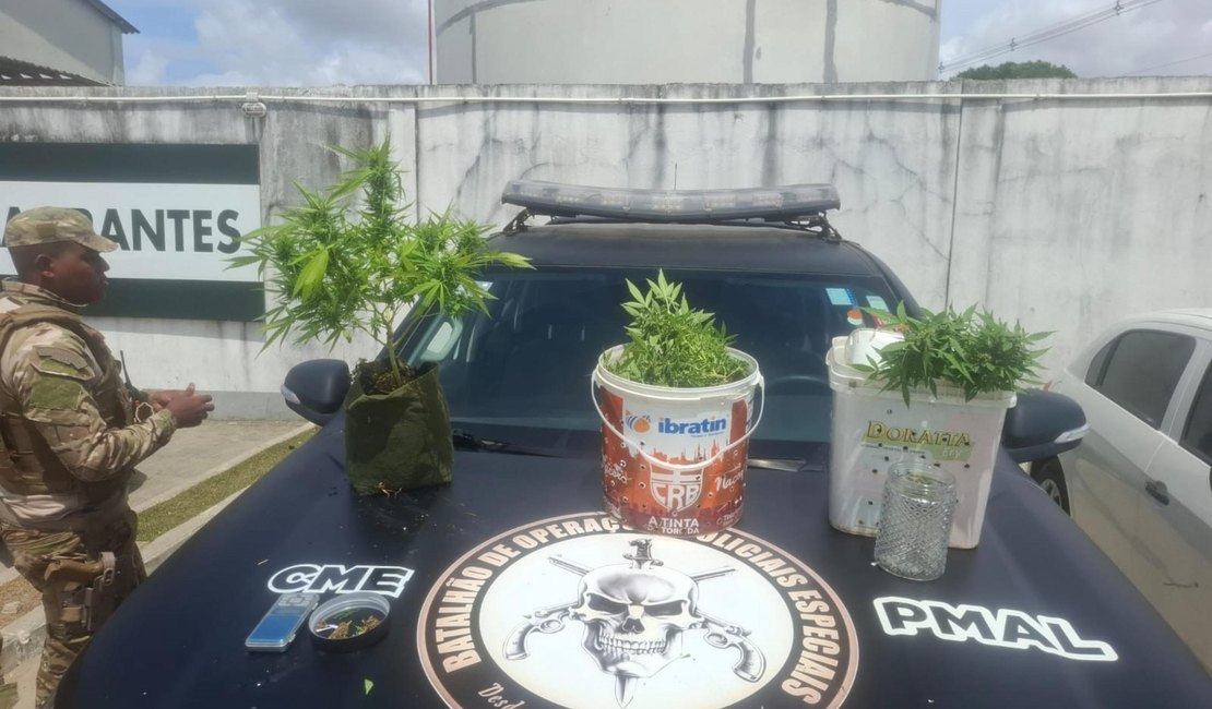 Polícia Militar apreende 5kg de drogas e descobre plantação de maconha em Maceió