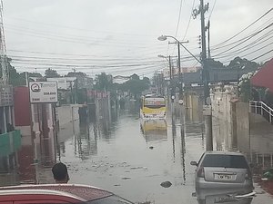 [Vídeos] Após chuvas fortes, árvores caem e veículos ficam ilhados 