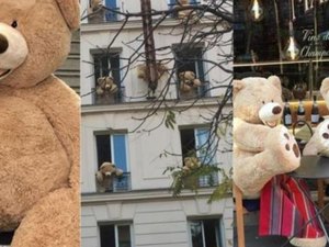 Dono de livraria espalha ursos de pelúcia gigantes por bairro de Paris