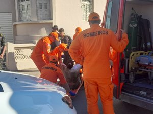 Mulher tenta salvar gato e fica ferida após cair em bueiro no Bairro Ribeira em Palmeira