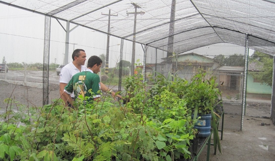 Ufal em Arapiraca faz parceria para ações ambientais no Agreste e Sertão