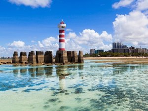 Fapeal e Fapesp anunciam pesquisadores para colaboração científica entre AL e SP