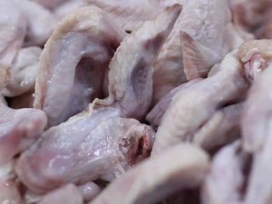 Preço do frango tem alta em Maceió e valores cobrados chegam até R$24,40