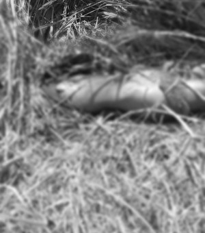 Jovem é encontrada com cabeça decepada em estaca de madeira em Rio Largo