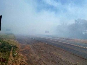 Incêndio assusta motoristas na BR-104 nas proximidades de Murici