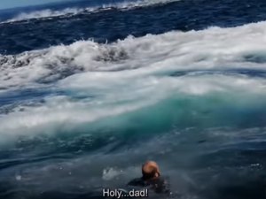 [Vídeo] Baleia derruba turista de barco e tenta engoli-lo durante um passeio