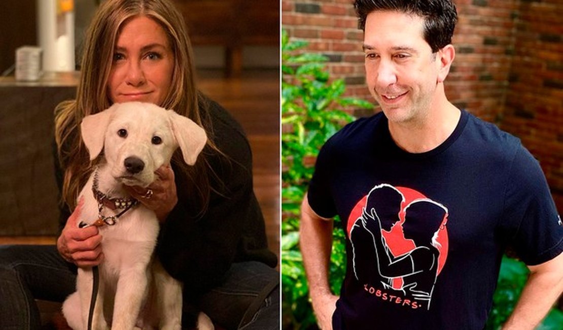 Jennifer Aniston e David Schwimmer estão namorando, diz revista