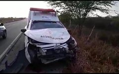 Ambulância colide com animal em Batalha