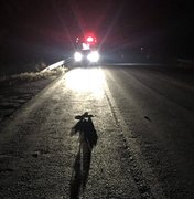 Motociclista morre colhido por utilitário de luxo em acidente na BR 316