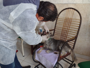 Profissionais do Nasf têm trabalho selecionado para premiação nacional