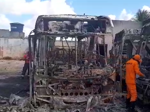 [Vídeo] Bombeiros fazem perícia para descobrir causas do incêndio que atingiu 9 ônibus da RM Viação