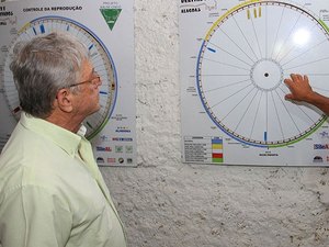 Em Craíbas, governador acompanha fertilização de bovinos