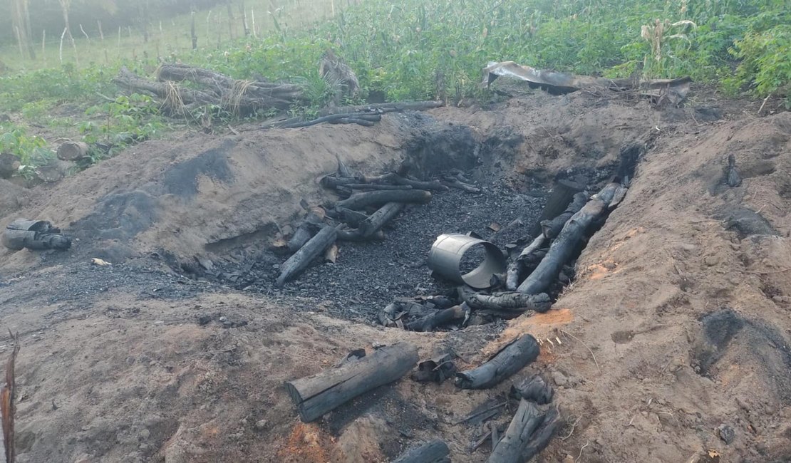 Operação resgata aves silvestres e apreende 11 armas de fogo em Alagoas