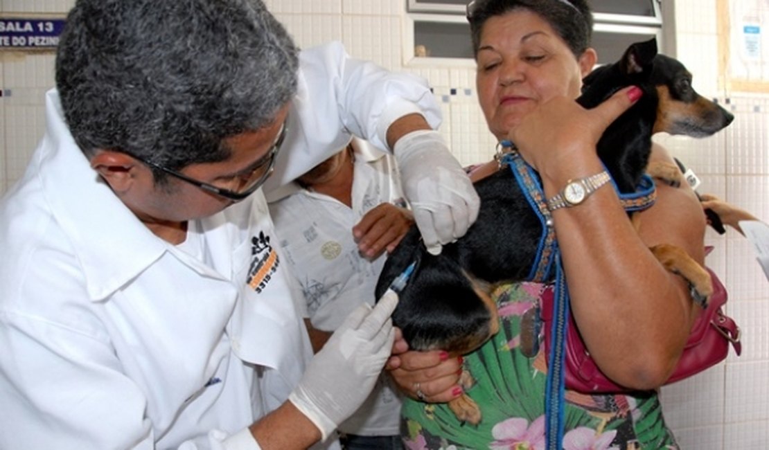 Campanha de vacinação antirrábica acontece próximo sábado (08) em Arapiraca 