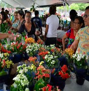 Maceió sedia Festival das Flores de Holambra a partir do dia 17