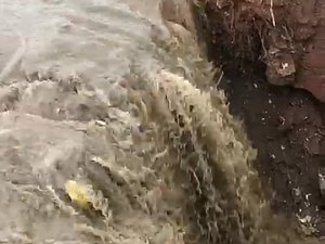 Chuvas fortes voltam a deixar estragos em Arapiraca 